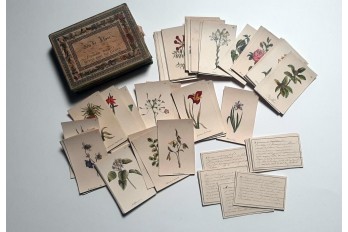 Jeu de Flore, cartes pour écrire, XIXème siècle
