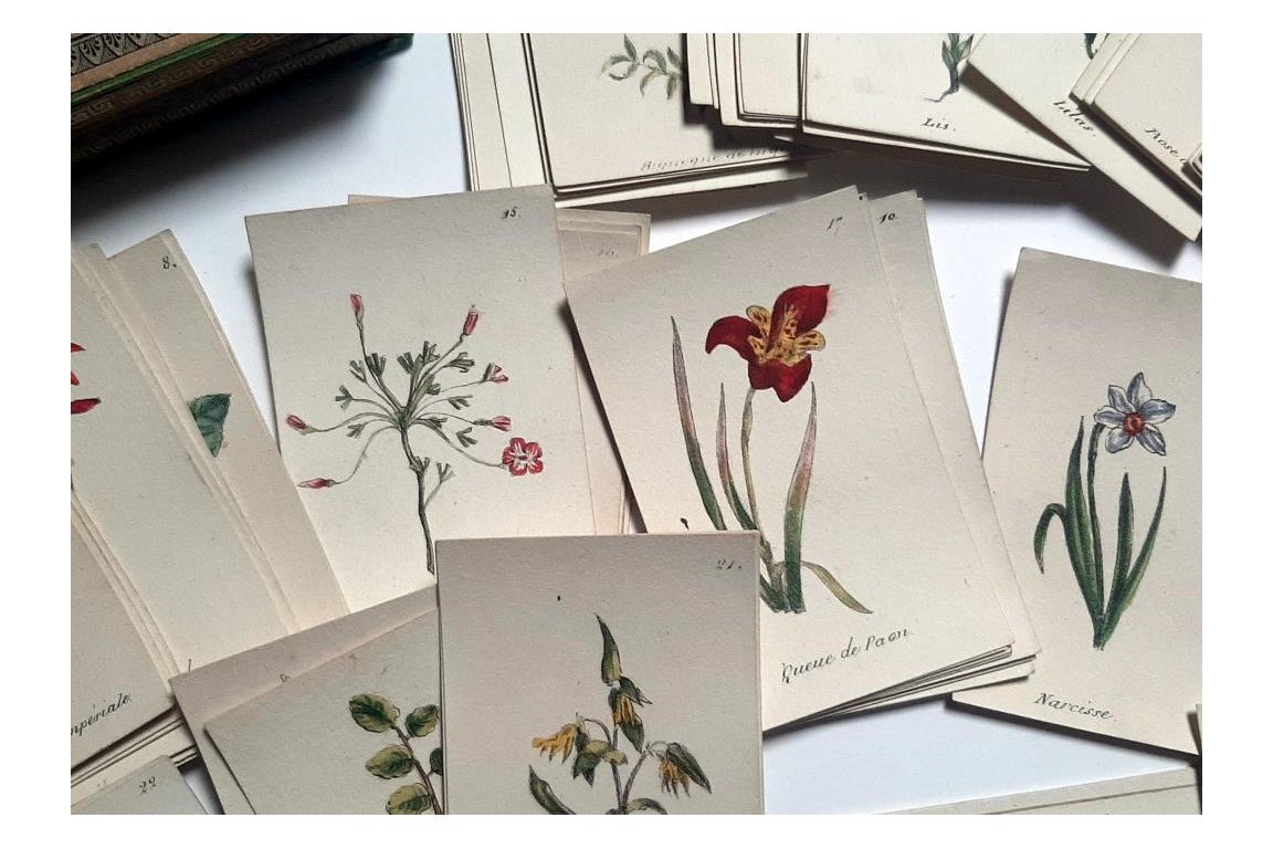 Jeu de Flore, cartes pour écrire, XIXème siècle