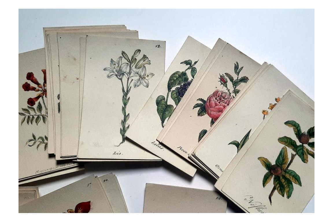 Jeu de Flore, cartes pour écrire, XIXème siècle