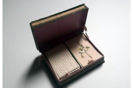 Jeu de Flore, cards game, 19th century
