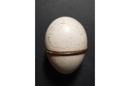 Egg, miniature kit, early 19th century