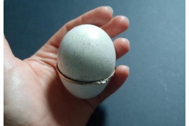 Egg, miniature kit, early 19th century