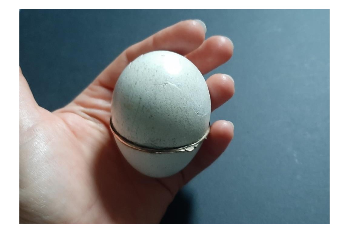 Oeuf, nécessaire miniature, début XIXème