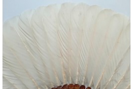 Chinese feather, late 19th century fan