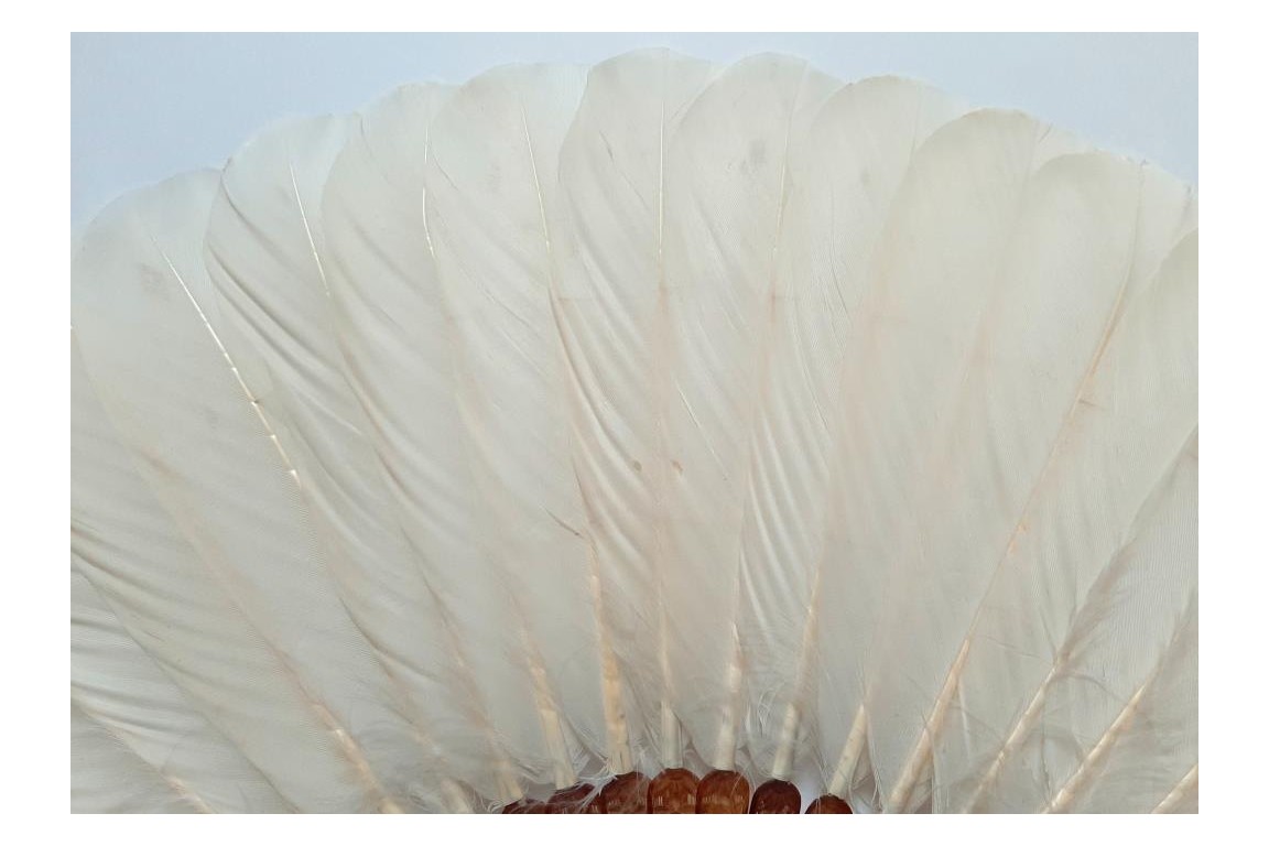 Chinese feather, late 19th century fan