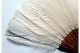 Chinese feather, late 19th century fan