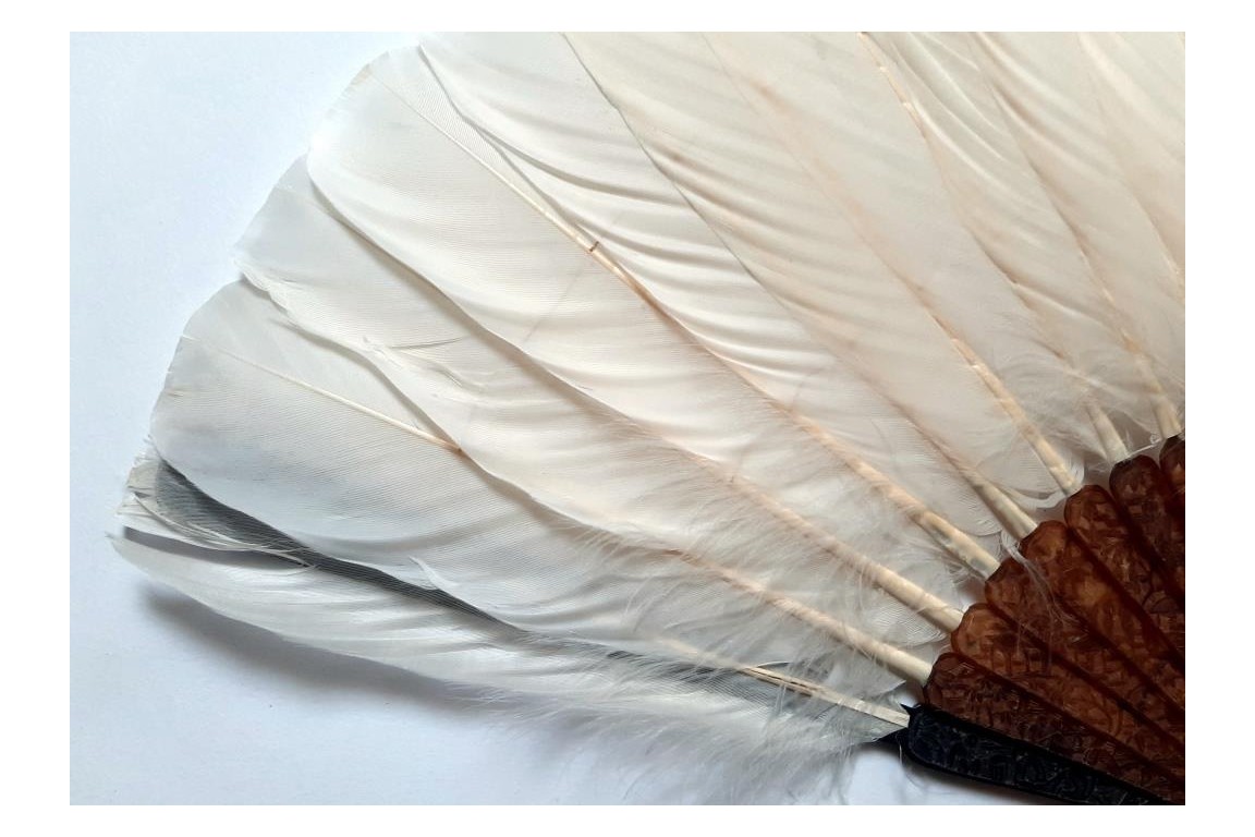Chinese feather, late 19th century fan