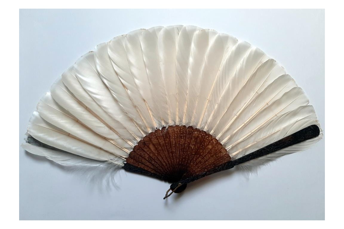 Chinese feather, late 19th century fan