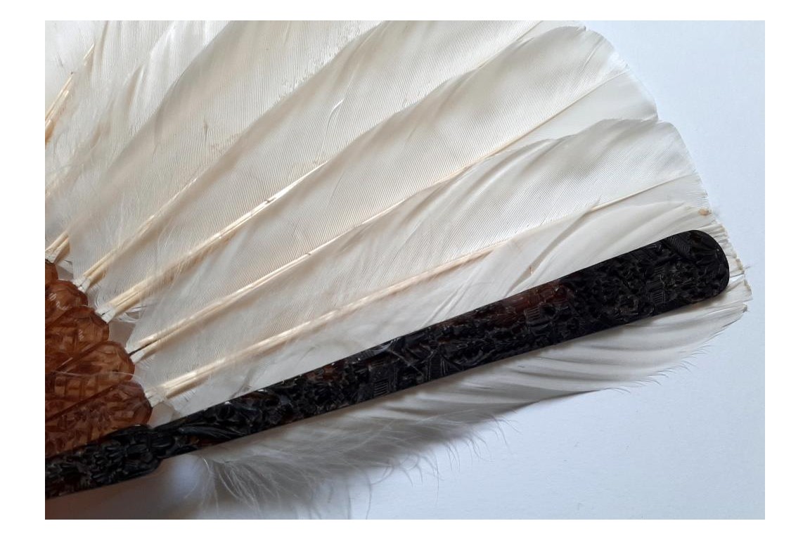 Chinese feather, late 19th century fan