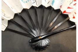 Asian rhapsody, fan by Serge Davoudian, 2020-2022