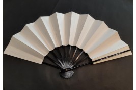 Asian rhapsody, fan by Serge Davoudian, 2020-2022