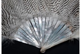 Lady Amherst's elegance, fan circa 1910-1920