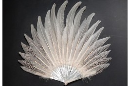 Lady Amherst's elegance, fan circa 1910-1920