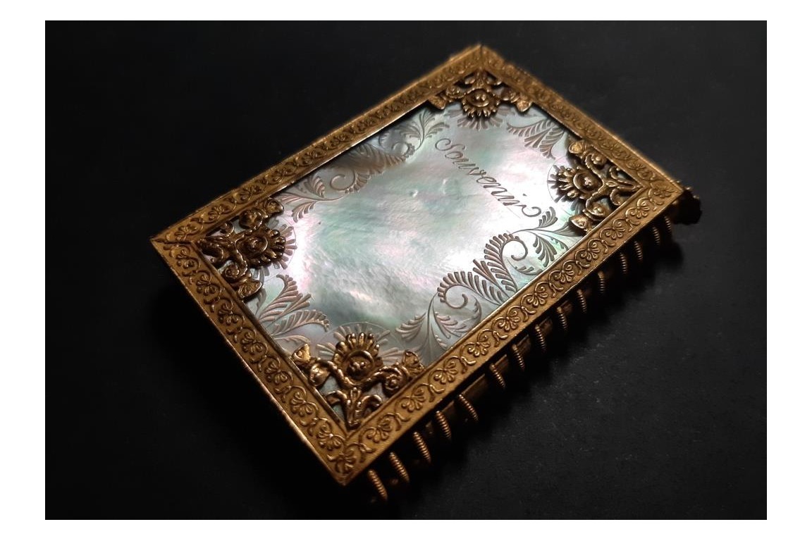 Petits Souvenirs, notebooks, Charles X period