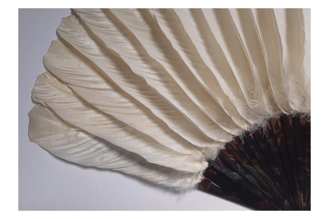 Pelican, fan by Faucon circa 1900-1930