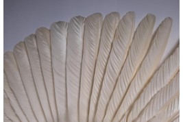 Pelican, fan by Faucon circa 1900-1930