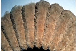 Feather marquetry, fan late 19th century