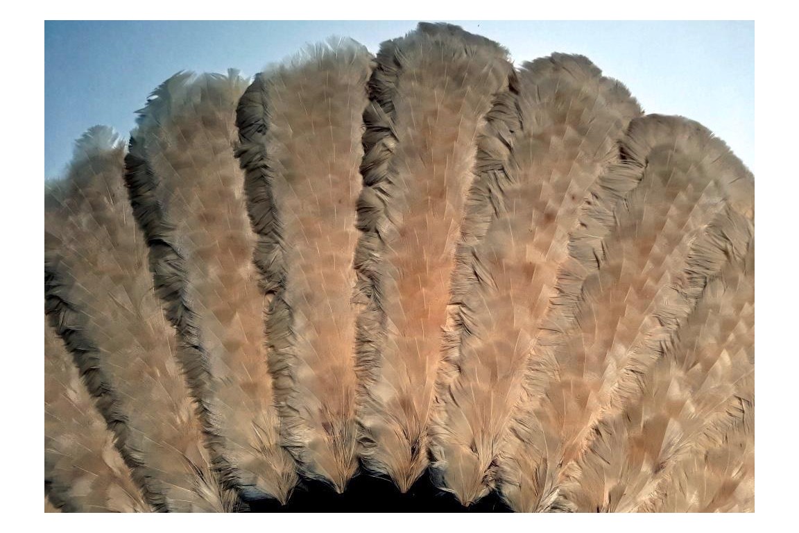 Feather marquetry, fan late 19th century