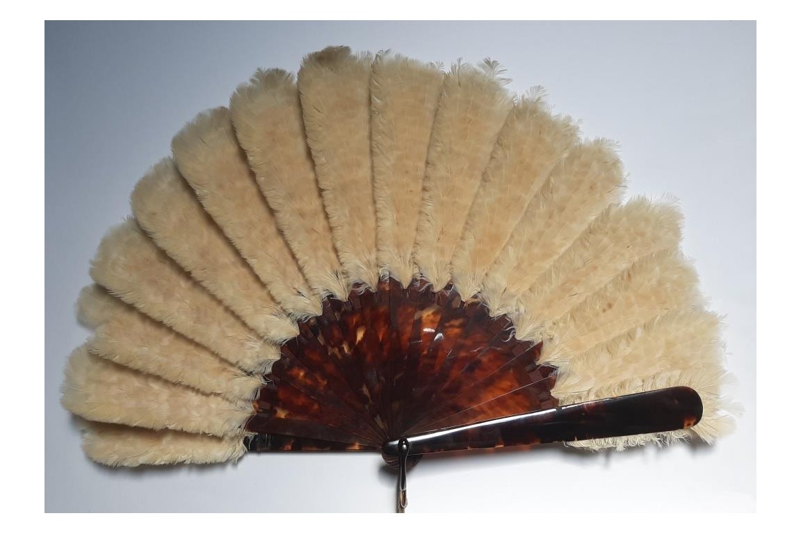 Maqueterie de plumes, éventail fin XIXème siècle