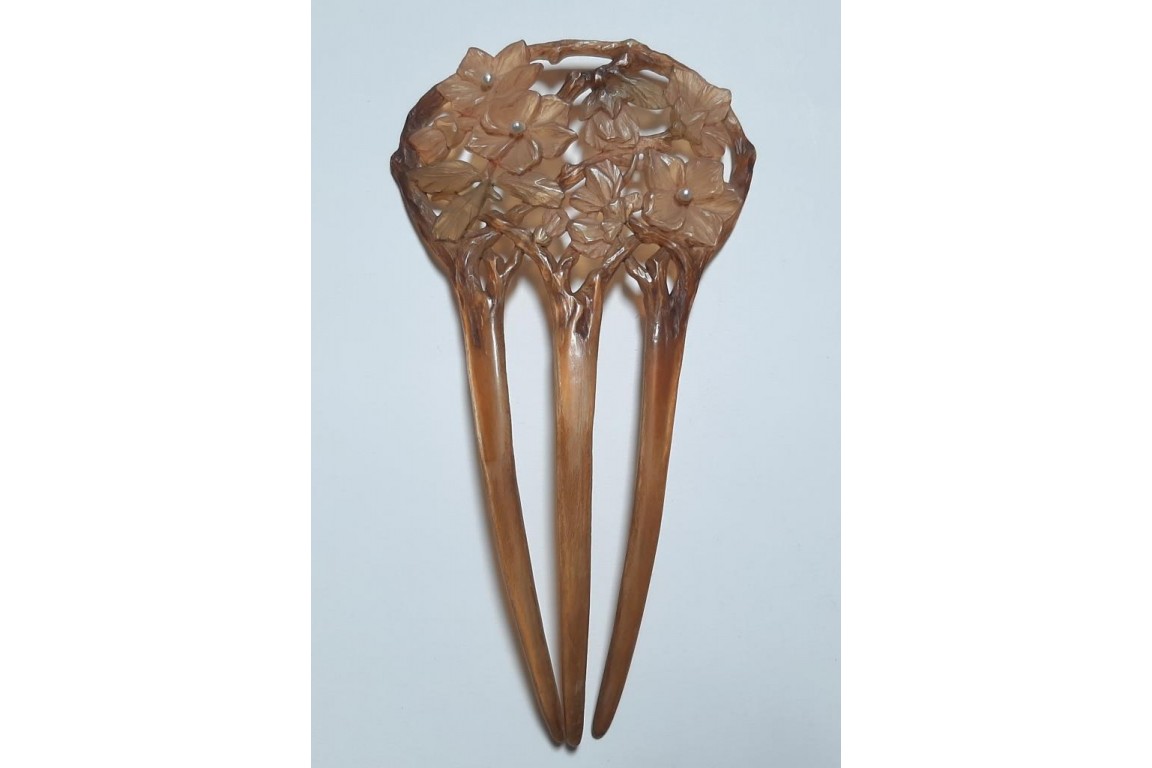 Des fleurs dans les cheveux, peigne de Georges Pierre, Art Nouveau