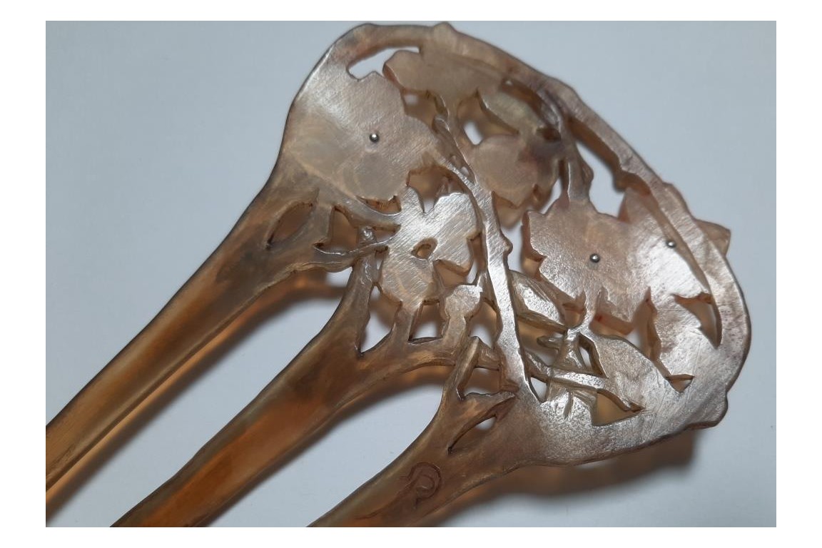 Des fleurs dans les cheveux, peigne de Georges Pierre, Art Nouveau
