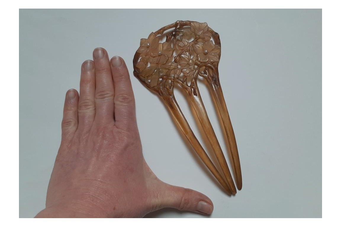 Flowers in the hair, comb by Georges Pierre, Art Nouveau