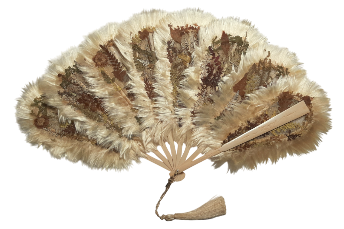 Botanical fan, circa 1860