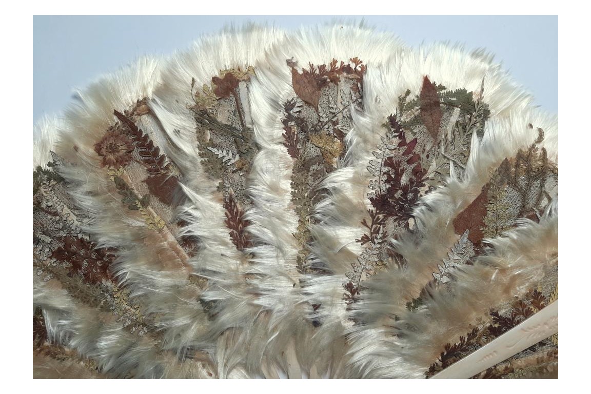 Botanical fan, circa 1860