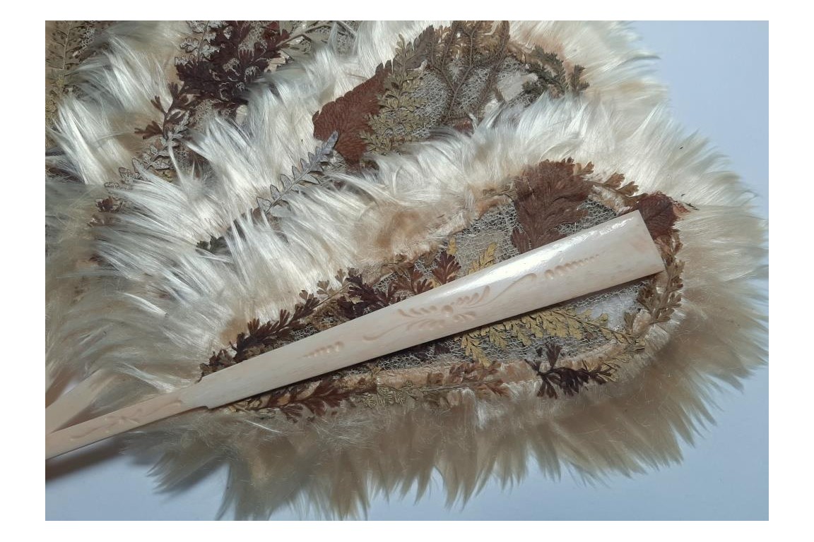 Botanical fan, circa 1860