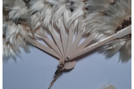 Botanical fan, circa 1860