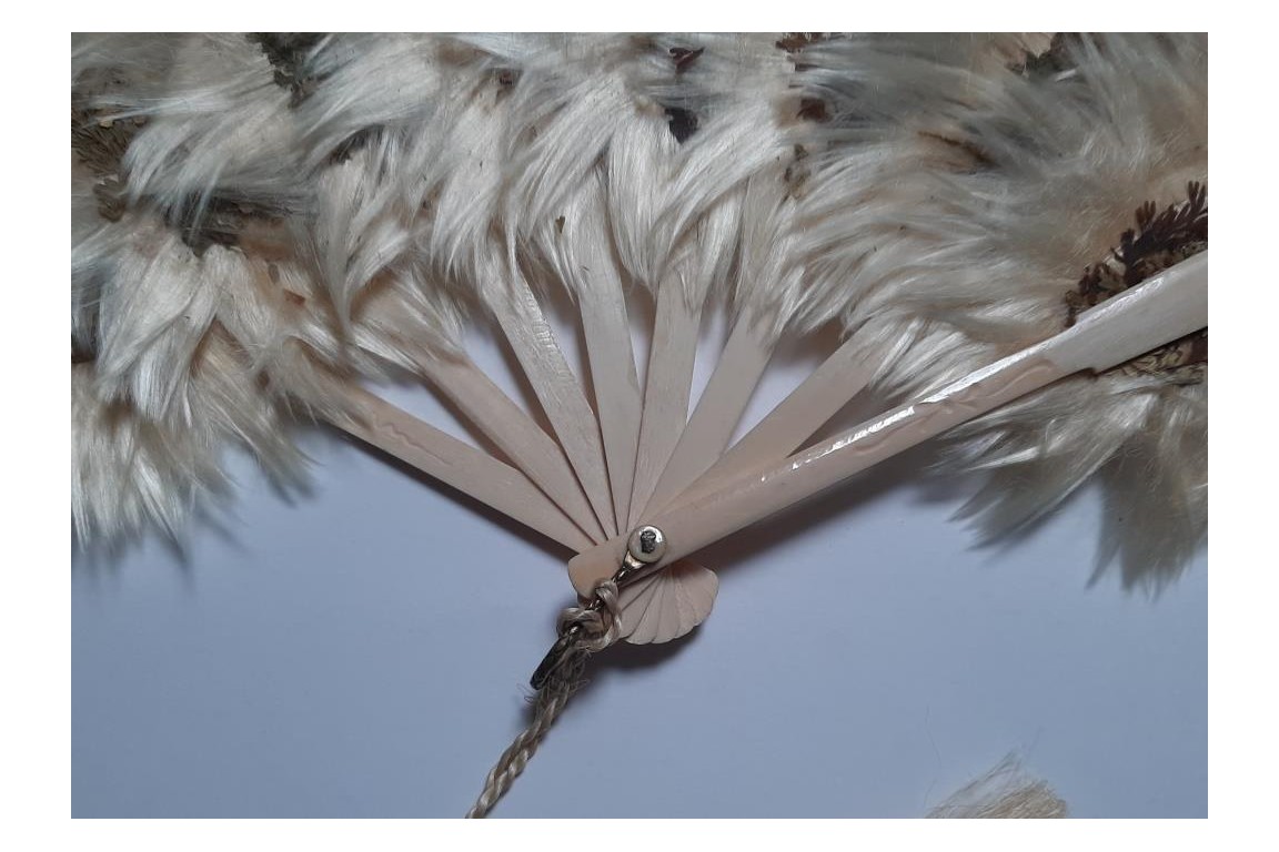 Botanical fan, circa 1860