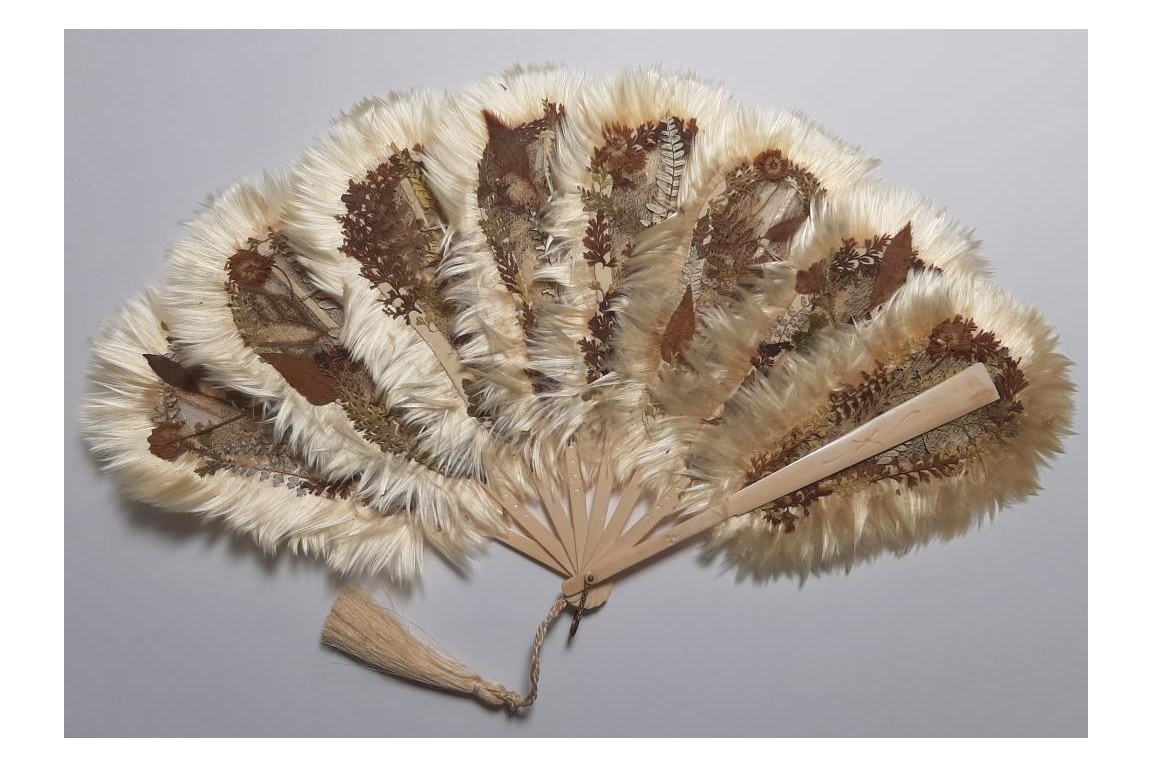 Botanical fan, circa 1860