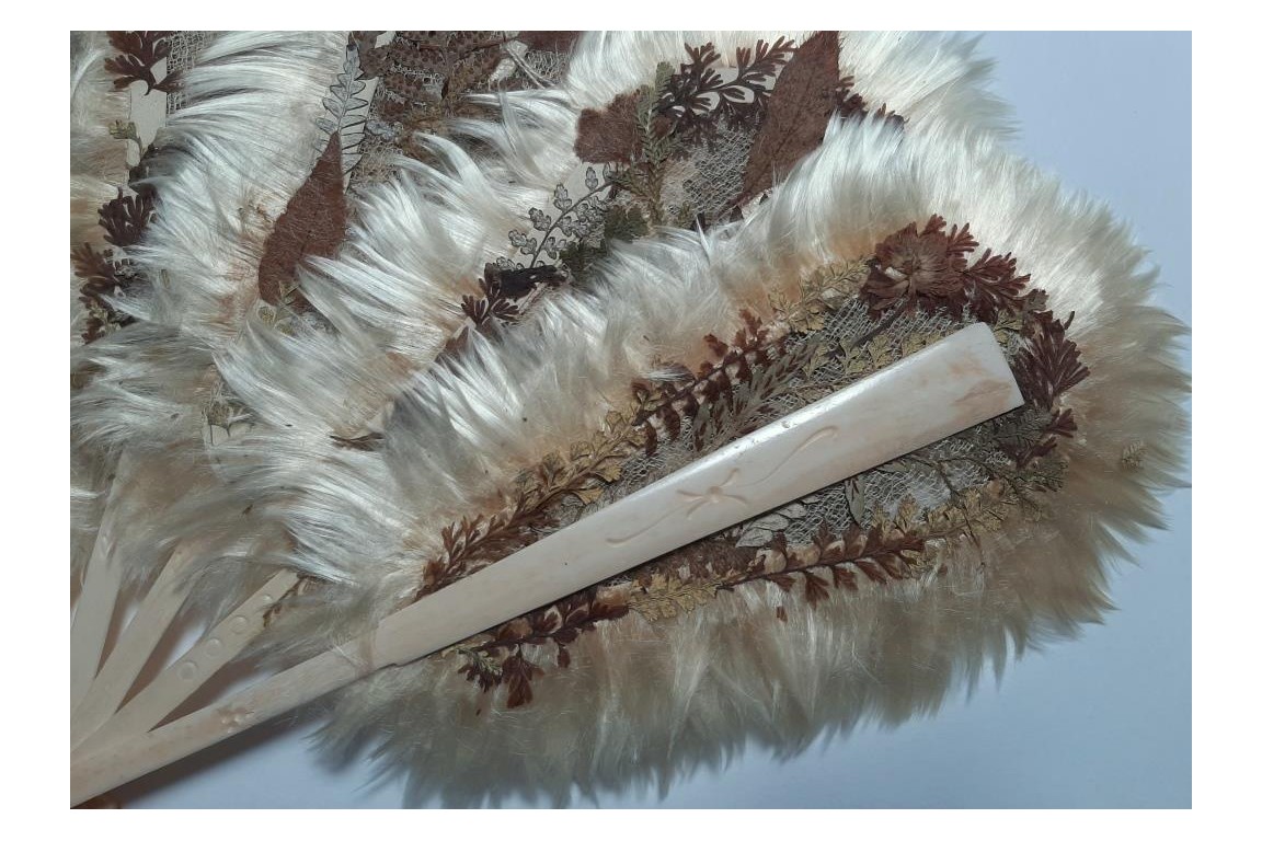 Botanical fan, circa 1860