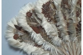 Botanical fan, circa 1860