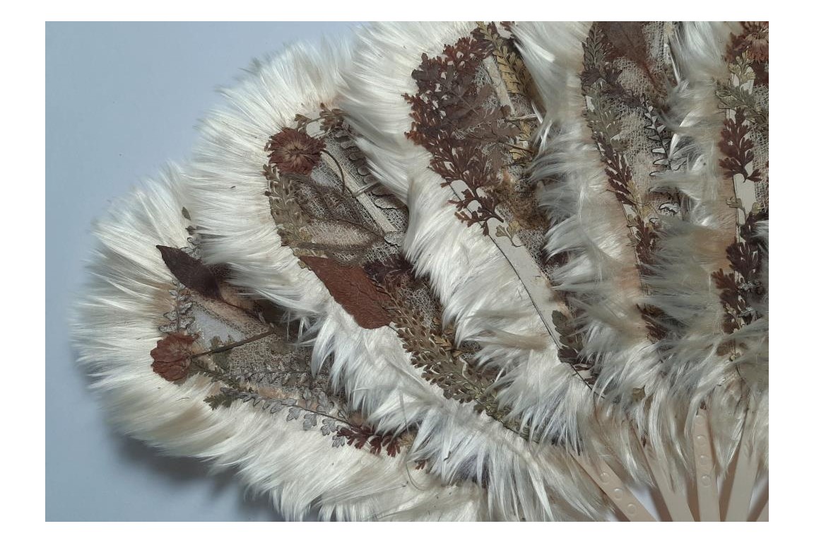 Botanical fan, circa 1860