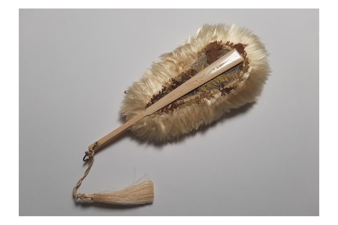 Botanical fan, circa 1860
