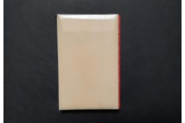 Glands fleuris, carnet souvenir, XIXème siècle