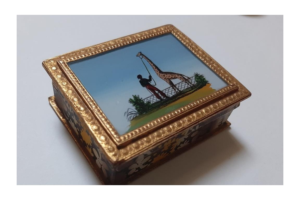 Zarafa, the giraffe. Boxes circa 1827-1828
