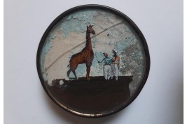 Zarafa, the giraffe. Boxes circa 1827-1828