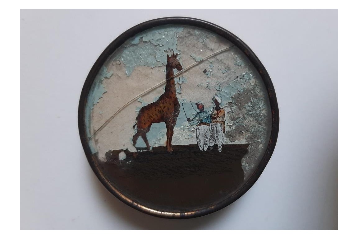 Zarafa, the giraffe. Boxes circa 1827-1828