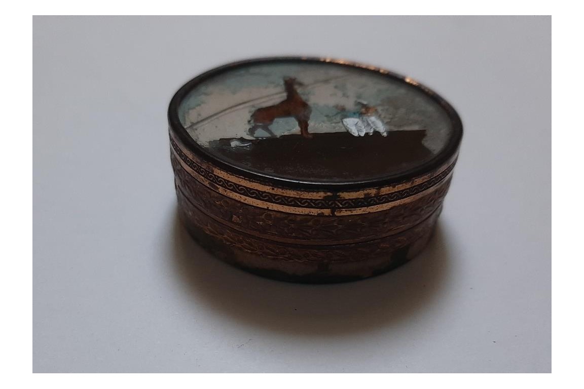 Zarafa, the giraffe. Boxes circa 1827-1828