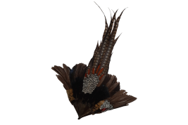 Pheasant, fan circa 1910-20