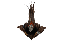 Pheasant, fan circa 1910-20
