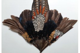 Pheasant, fan circa 1910-20