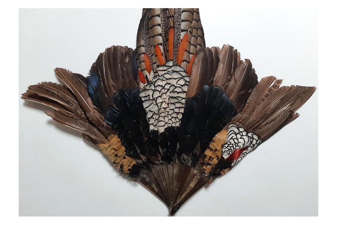 Pheasant, fan circa 1910-20