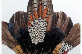 Pheasant, fan circa 1910-20