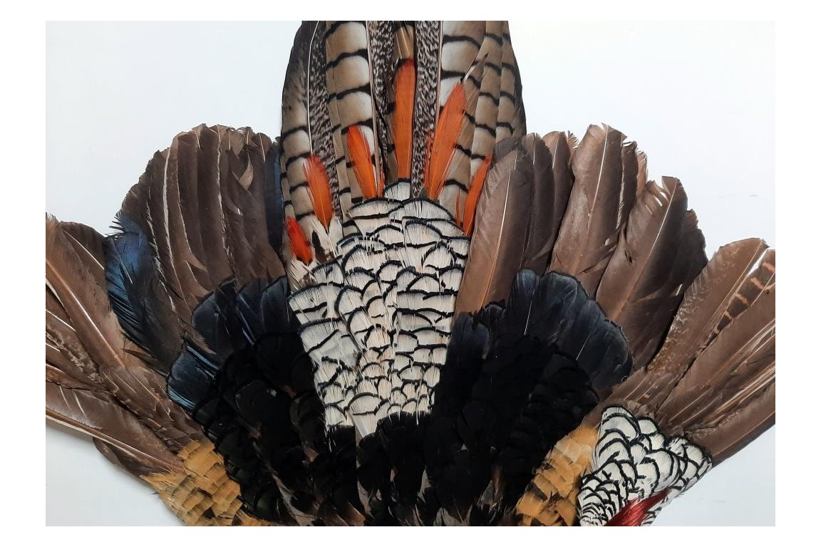 Pheasant, fan circa 1910-20