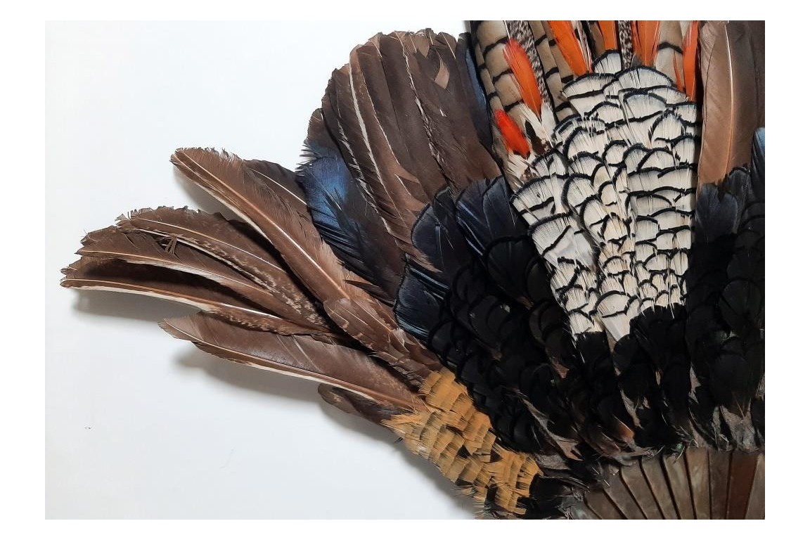 Pheasant, fan circa 1910-20