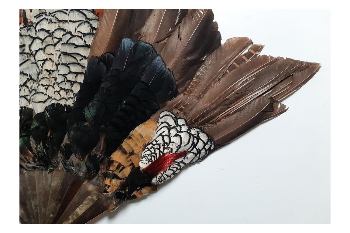 Pheasant, fan circa 1910-20