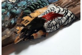Pheasant, fan circa 1910-20